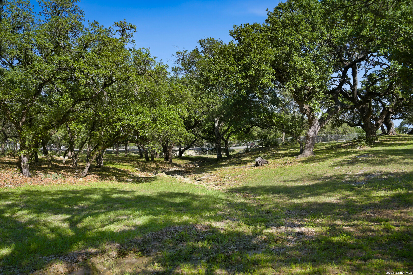 28337 Leslie Pfeiffer Drive Boerne TX 78015