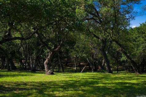 28337 Leslie Pfeiffer Drive Boerne TX 78015