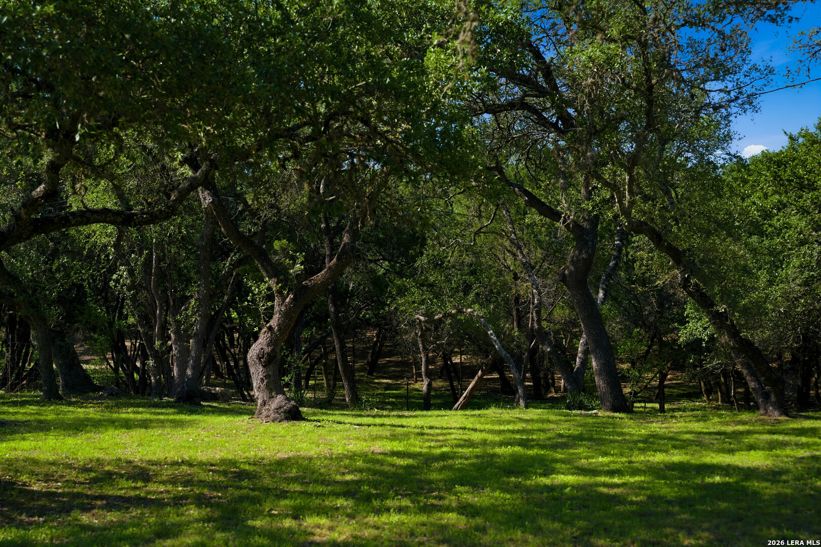 28337 Leslie Pfeiffer Drive Boerne TX 78015