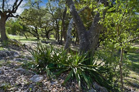 28337 Leslie Pfeiffer Drive Boerne TX 78015