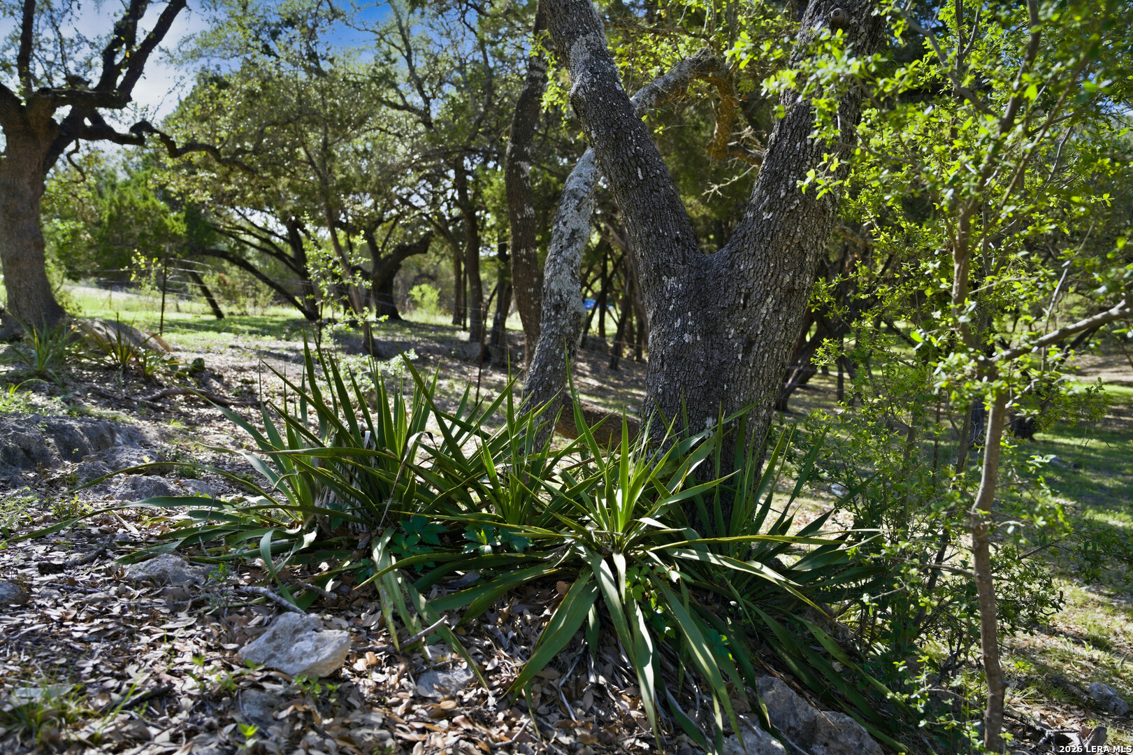 28337 Leslie Pfeiffer Drive Boerne TX 78015