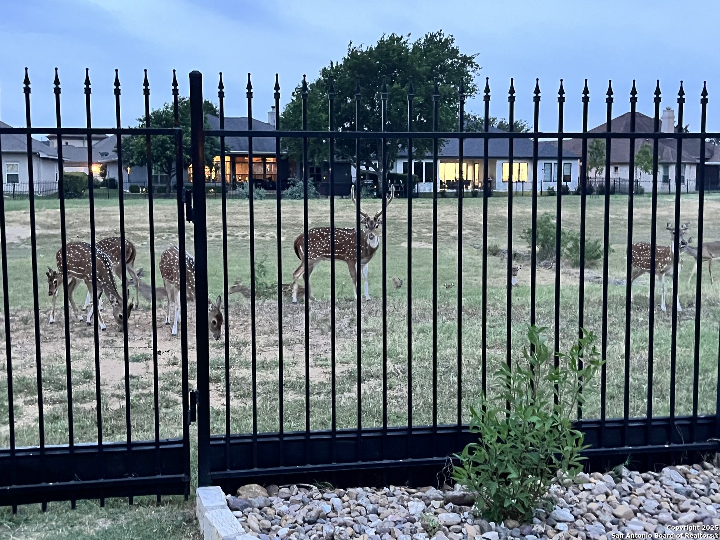 7938 Cibolo Boerne TX 78015