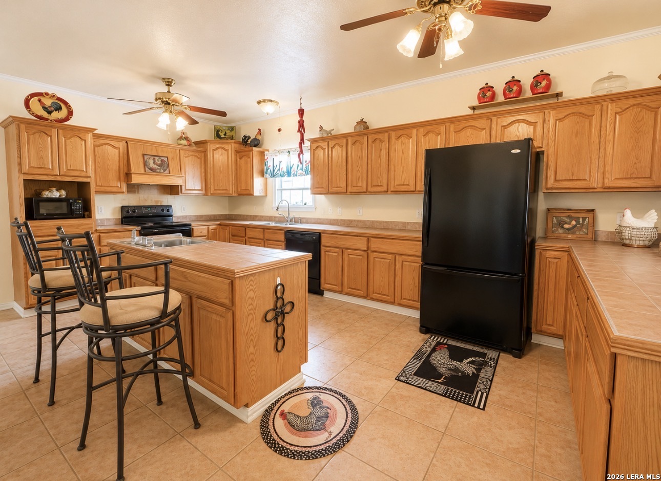 3108 Fm 190 Asherton TX 78827