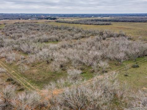 2741 State Highway 123 Stockdale TX 78160