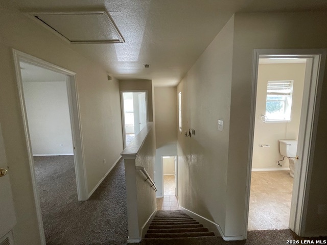 120 Booker Palm San Antonio TX 78239