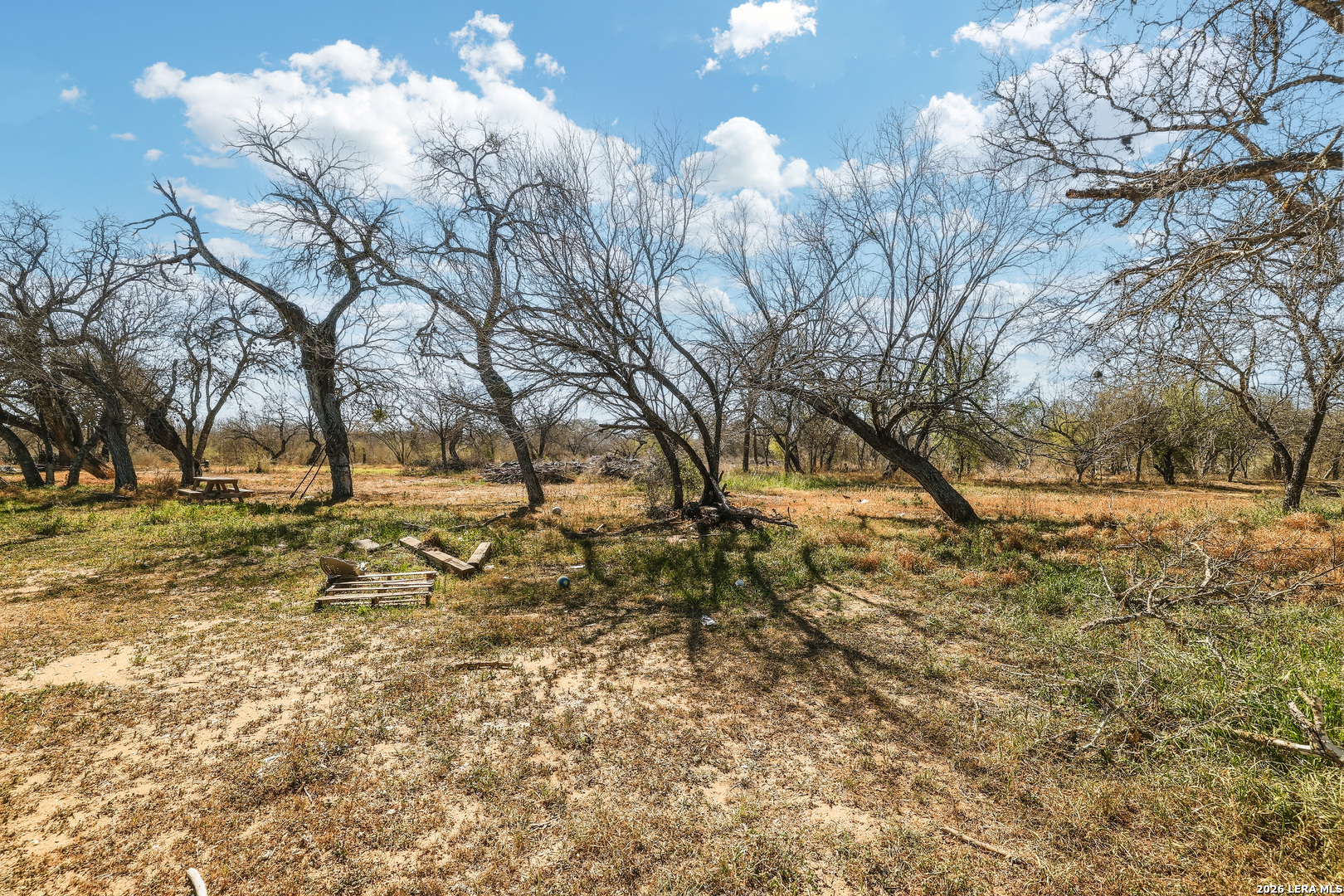 17896 Pleasanton Road San Antonio TX 78221