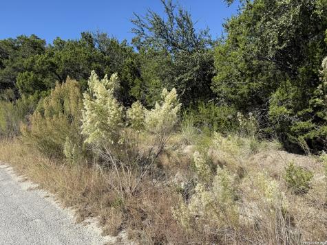 Lot 37 Golf Course Drive E Spring Branch TX 78070