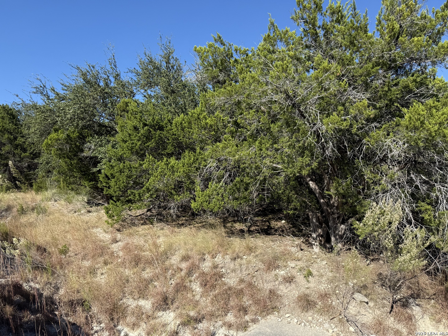 Lot 37 Golf Course Drive E Spring Branch TX 78070