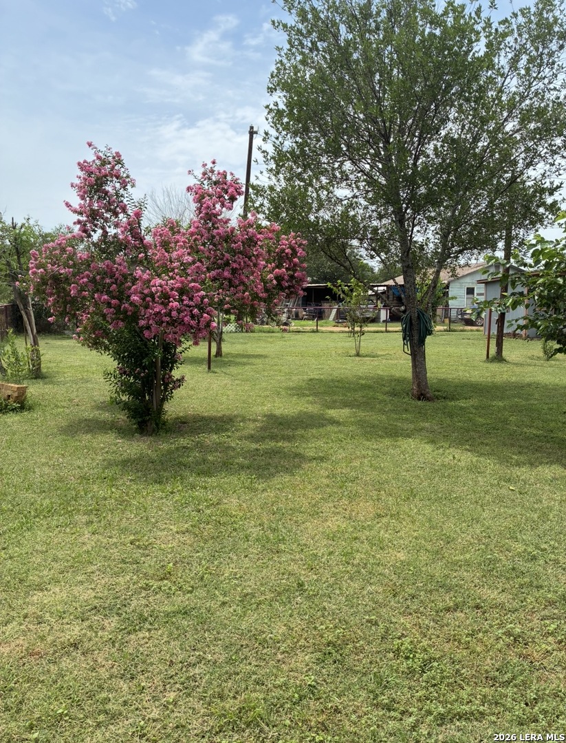 323 E White Street Dilley TX 78017