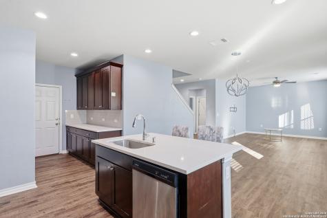 21018 Chestnut Cove San Antonio TX 78266