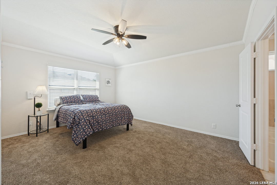 6602 Beech Trail Converse TX 78109