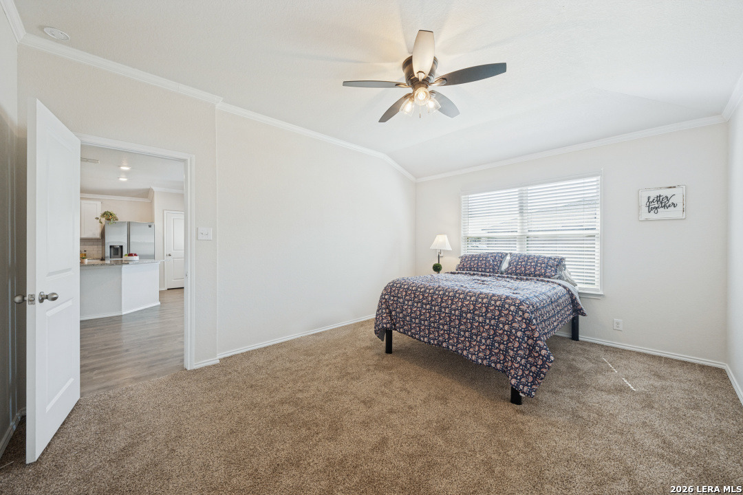6602 Beech Trail Converse TX 78109