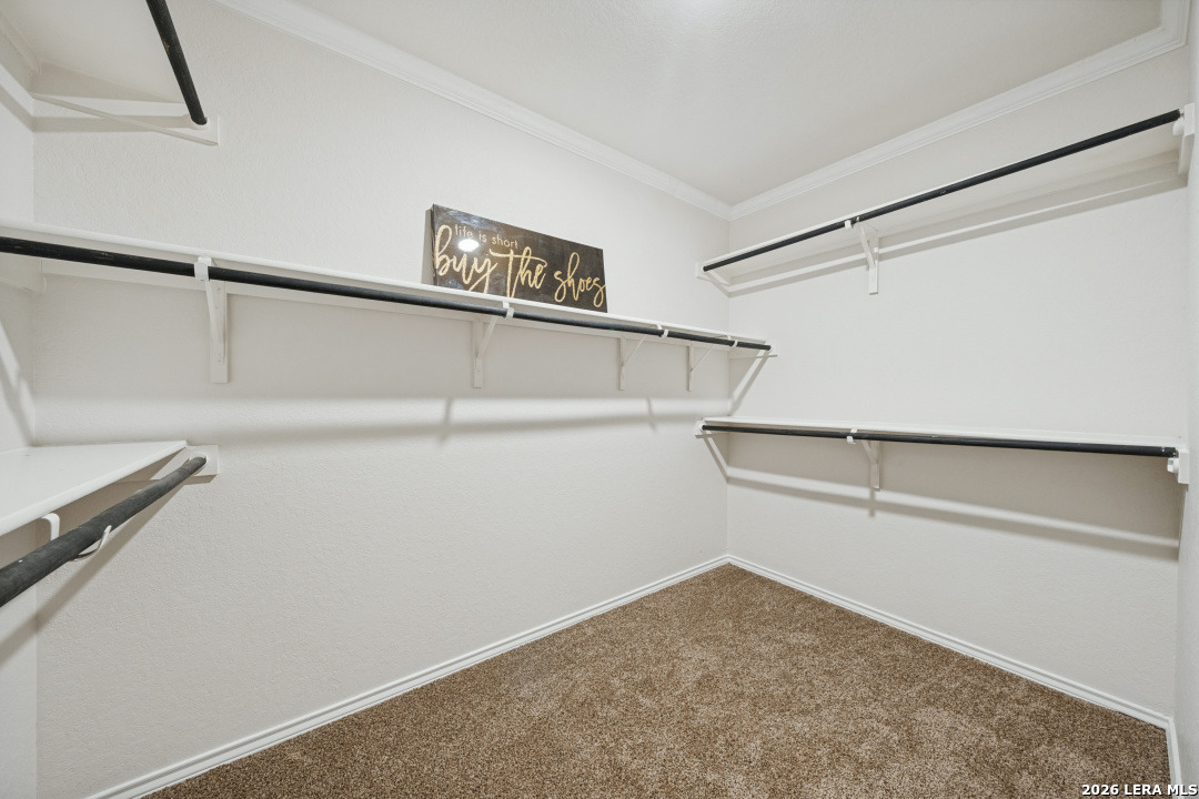 6602 Beech Trail Converse TX 78109