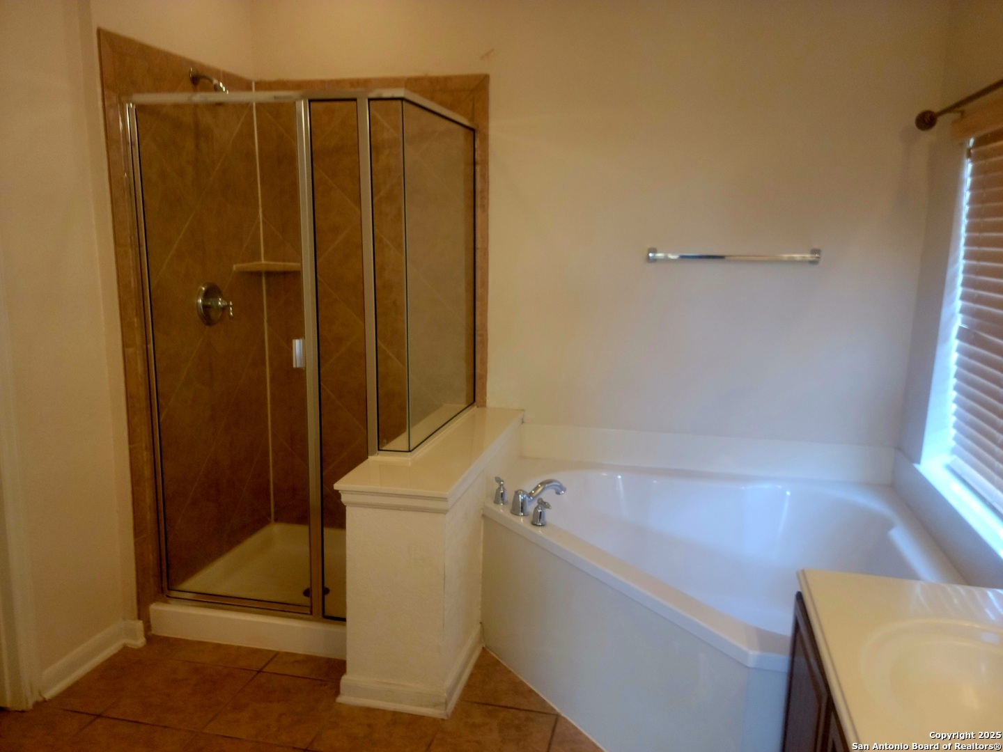 718 Desert Bluff San Antonio TX 78258