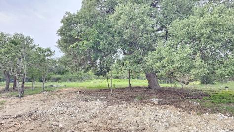 612 Cross Oak New Braunfels TX 78132
