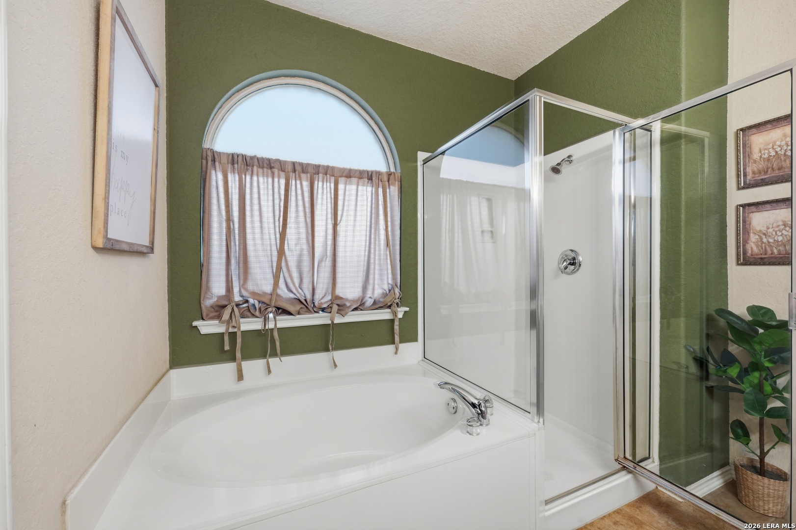 769 San Mateo New Braunfels TX 78132