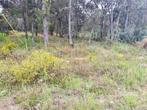 4318 New Mathis Road Elmendorf TX 78112