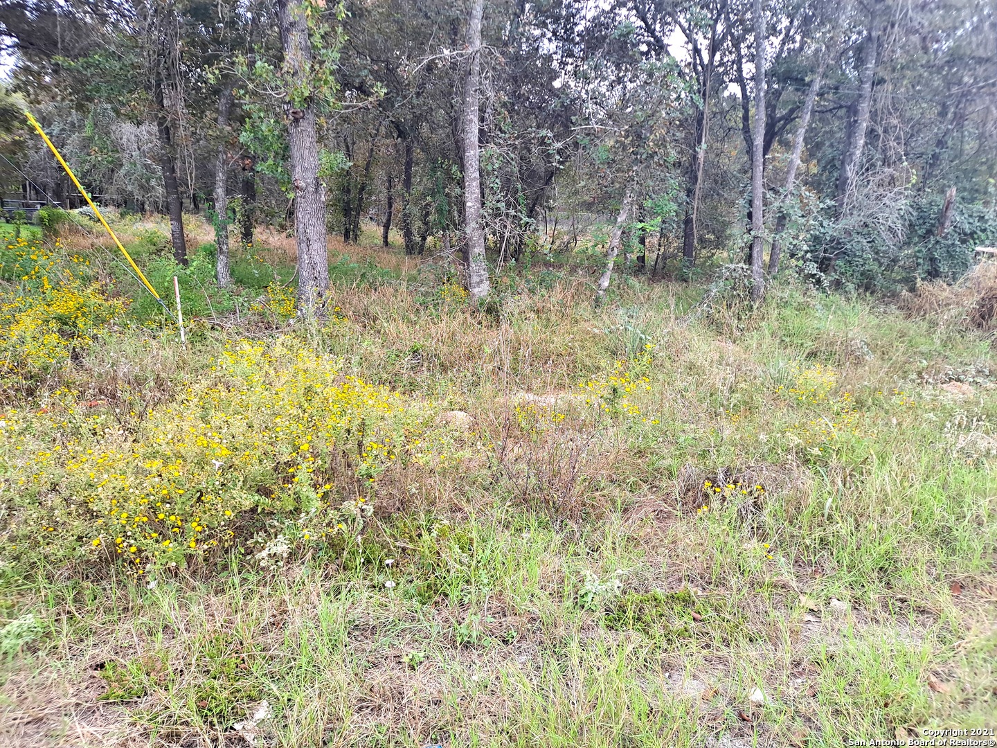 4318 New Mathis Road Elmendorf TX 78112