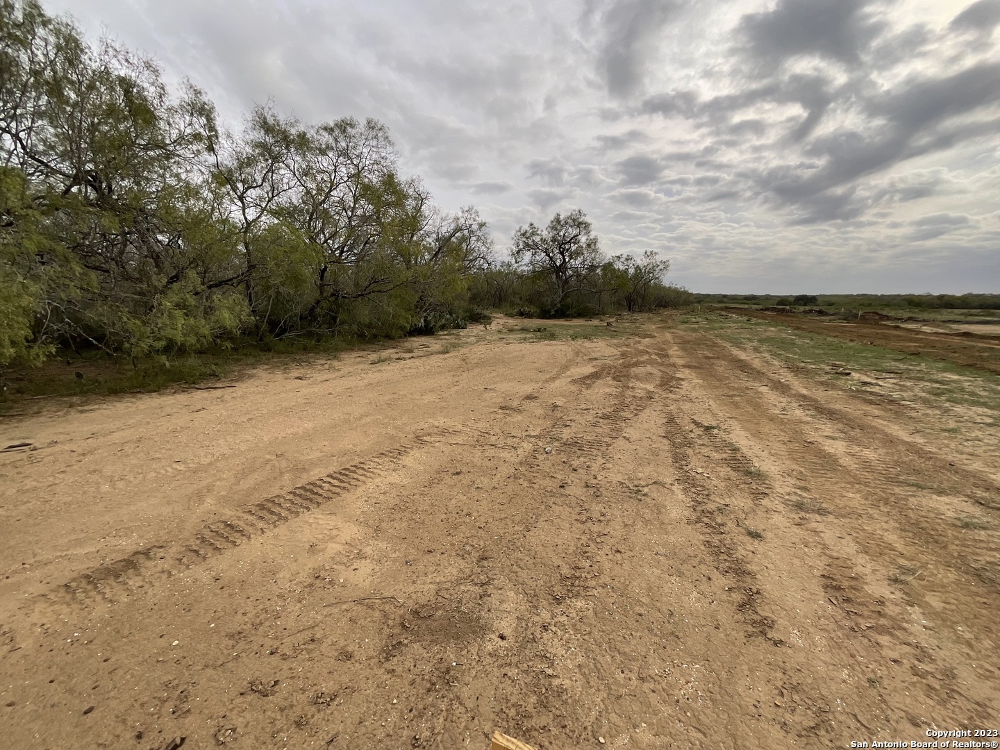 137 Sylashayes Loop Pleasanton TX 78064