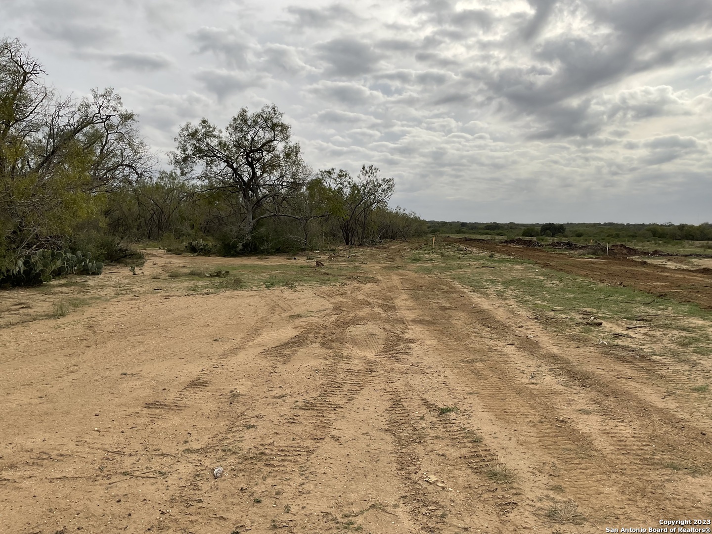 137 Sylashayes Loop Pleasanton TX 78064