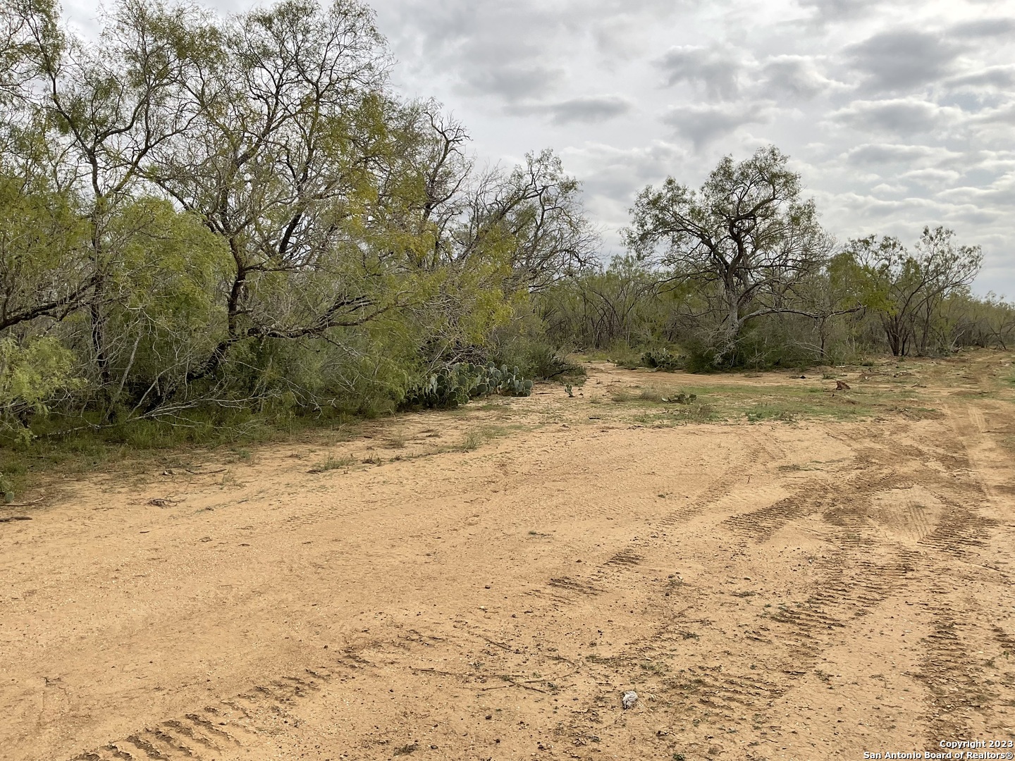 137 Sylashayes Loop Pleasanton TX 78064