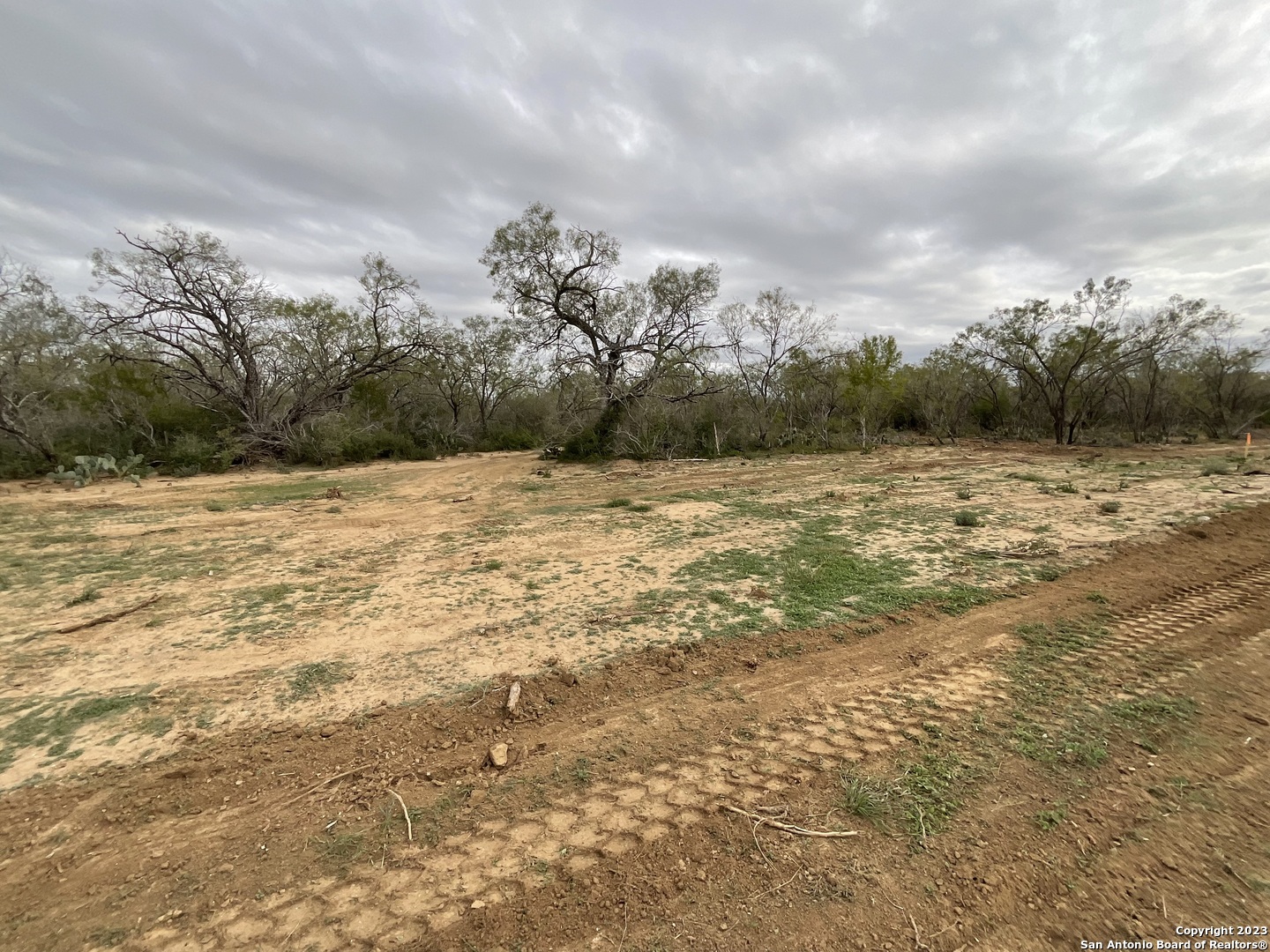 137 Sylashayes Loop Pleasanton TX 78064