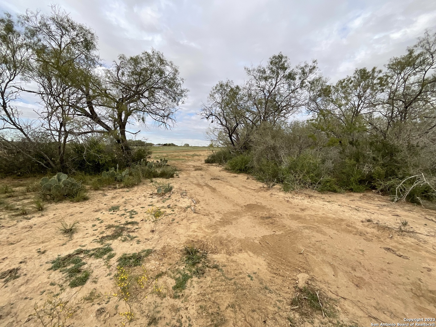 137 Sylashayes Loop Pleasanton TX 78064