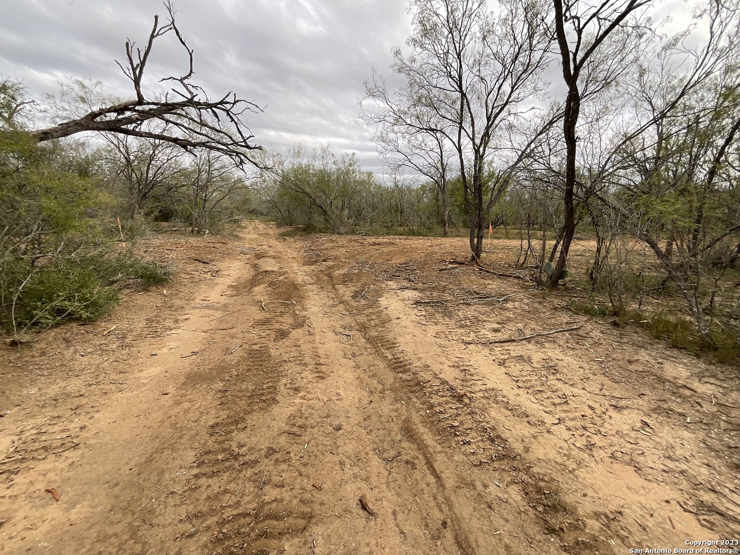 137 Sylashayes Loop Pleasanton TX 78064