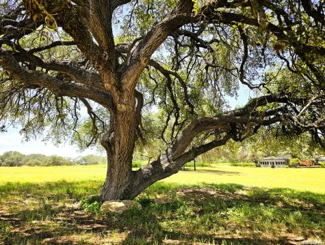 799 County Road 6612 Devine TX 78016