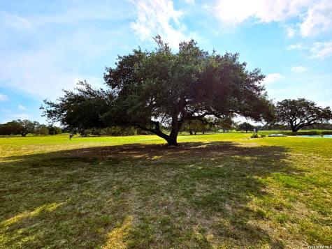799 County Road 6612 Devine TX 78016