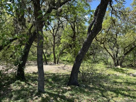 56 Eton Green Circle San Antonio TX 78257