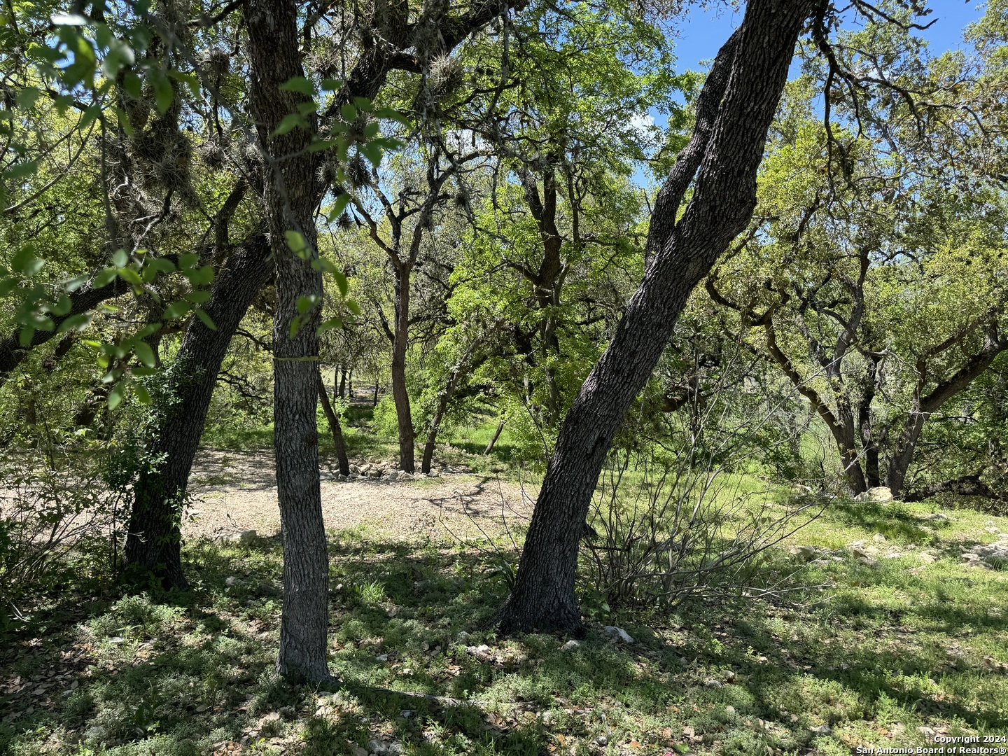56 Eton Green Circle San Antonio TX 78257