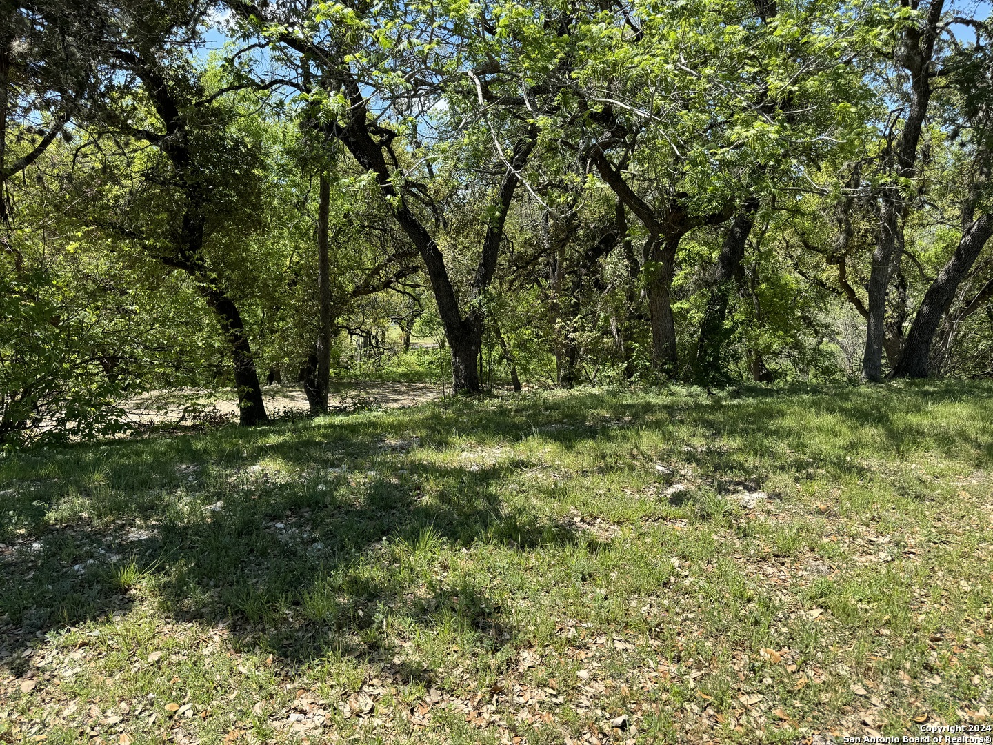56 Eton Green Circle San Antonio TX 78257
