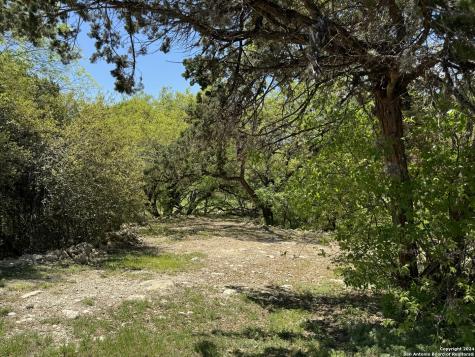 56 Eton Green Circle San Antonio TX 78257