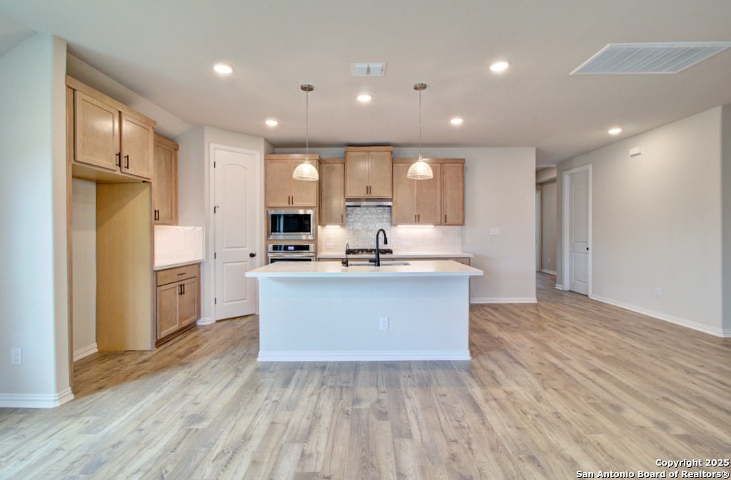 11116 Prairie Landing Converse TX 78109