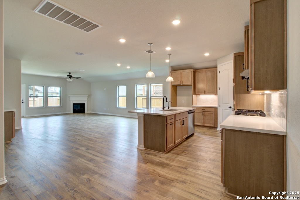 11116 Prairie Landing Converse TX 78109