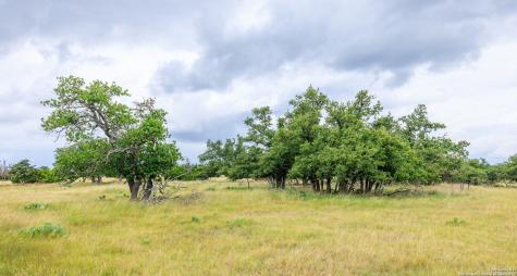 11453 N Us Highway 87 Fredericksburg TX 78624