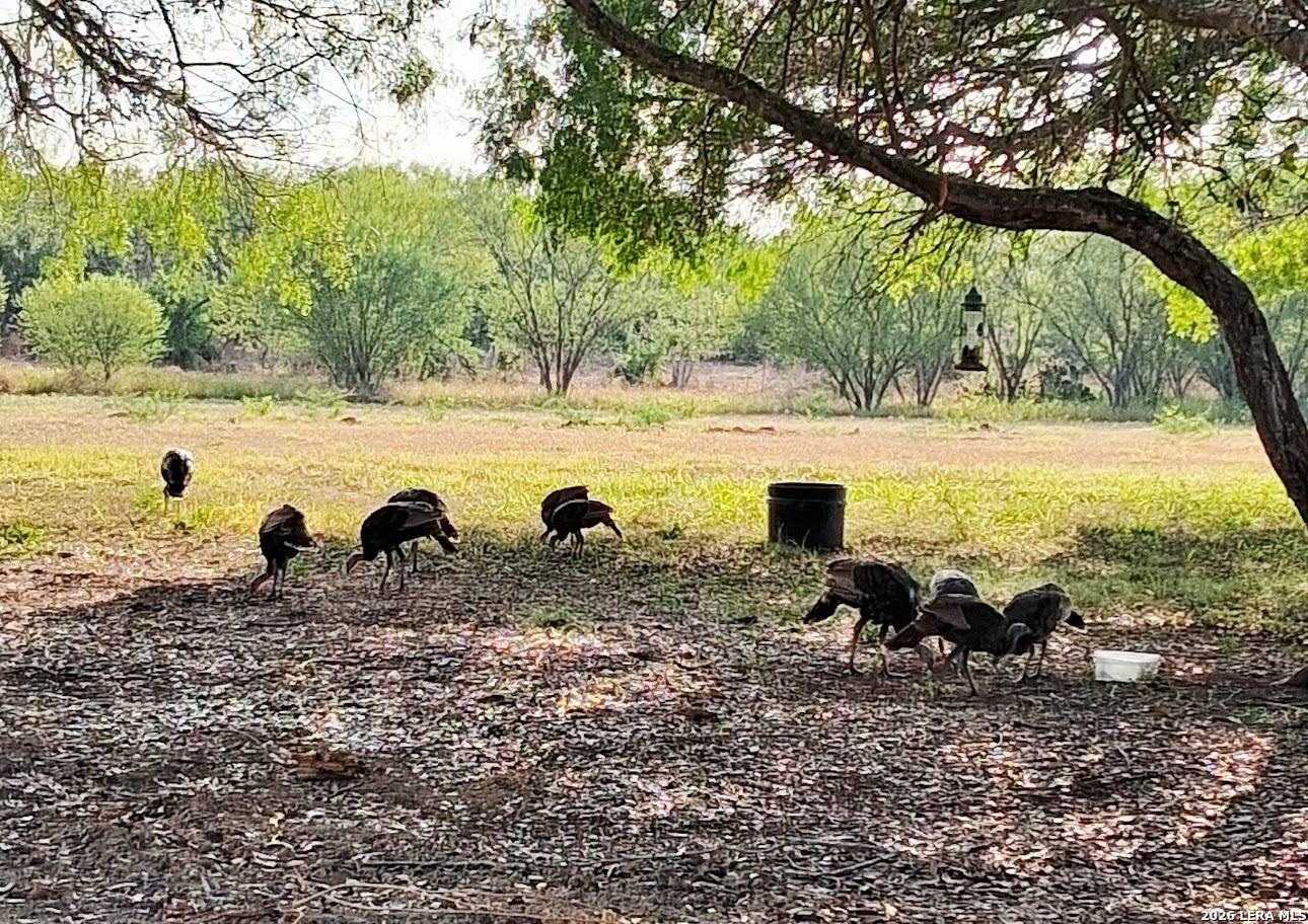 202 Ranch Road Mathis TX 78368