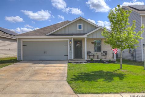 2459 Pechora Pipit New Braunfels TX 78130