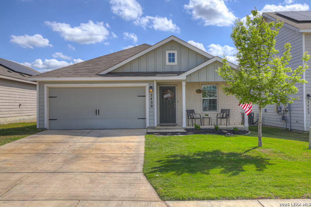 2459 Pechora Pipit New Braunfels TX 78130