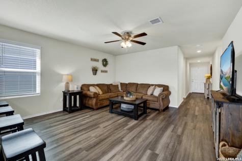 2459 Pechora Pipit New Braunfels TX 78130