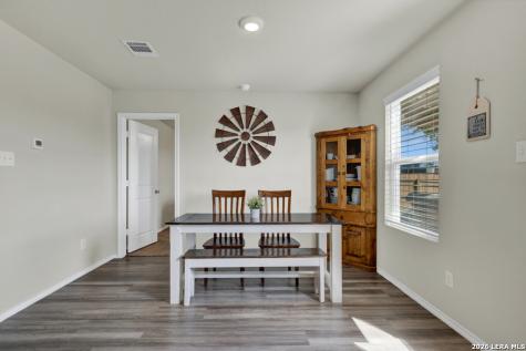 2459 Pechora Pipit New Braunfels TX 78130