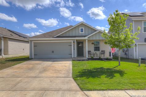 2459 Pechora Pipit New Braunfels TX 78130