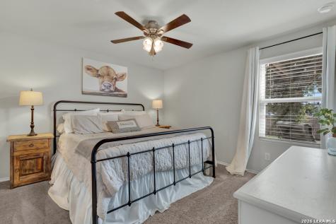 2459 Pechora Pipit New Braunfels TX 78130