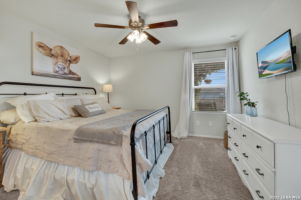 2459 Pechora Pipit New Braunfels TX 78130