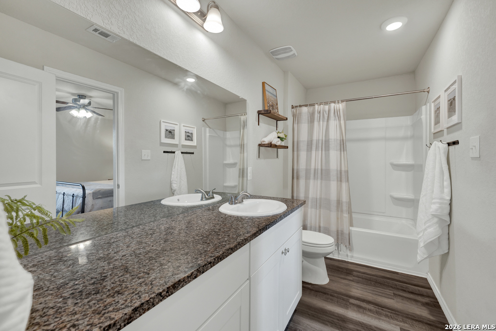 2459 Pechora Pipit New Braunfels TX 78130