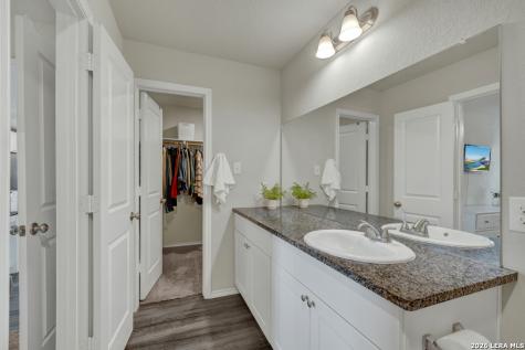 2459 Pechora Pipit New Braunfels TX 78130
