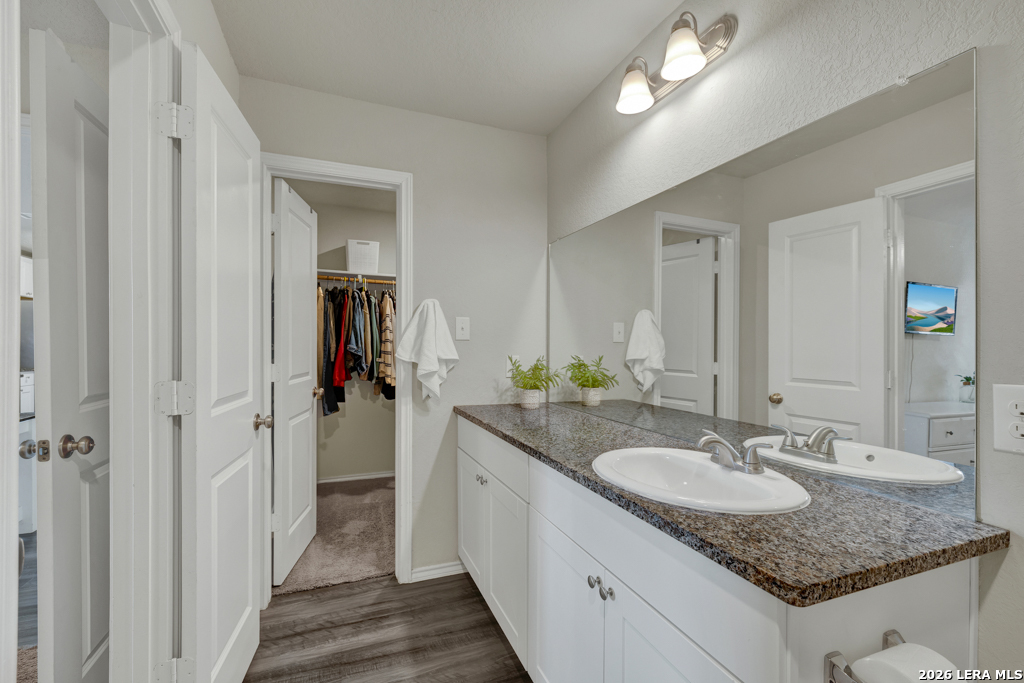 2459 Pechora Pipit New Braunfels TX 78130