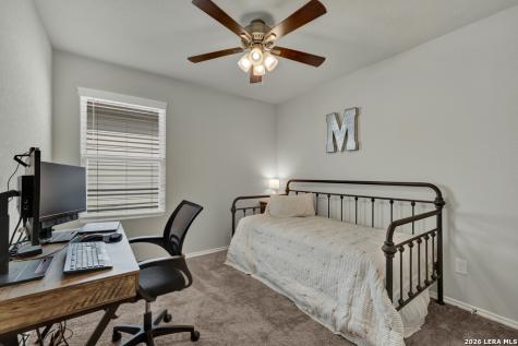 2459 Pechora Pipit New Braunfels TX 78130