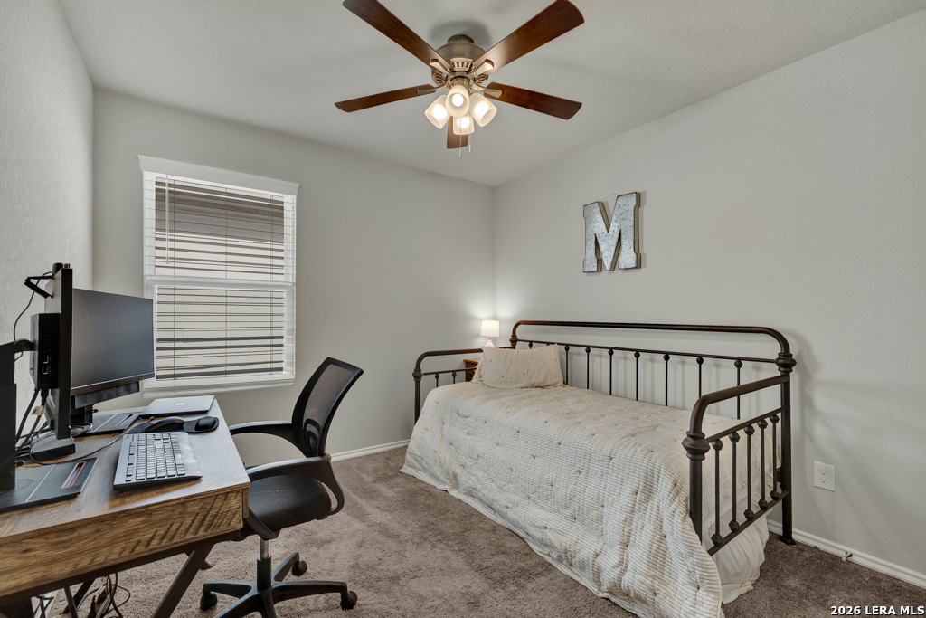 2459 Pechora Pipit New Braunfels TX 78130